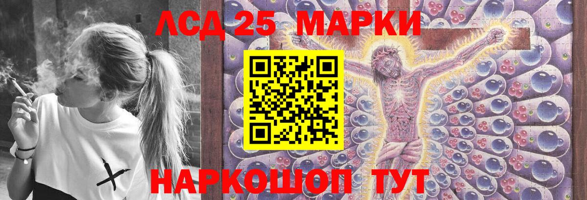 Бошки Шишки Тара